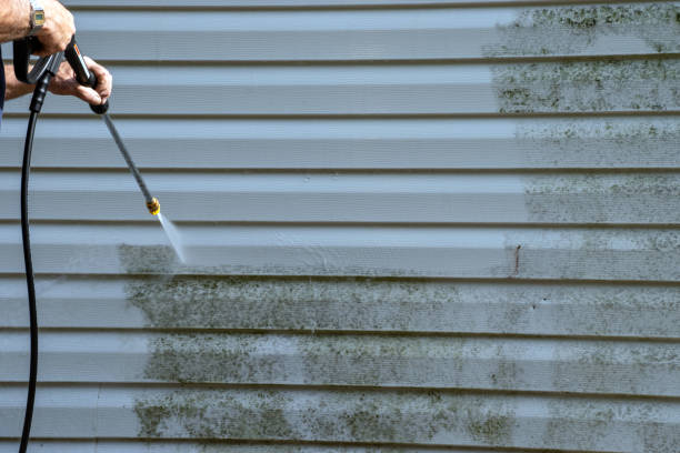 Best Stucco Siding  in Susanville, CA
