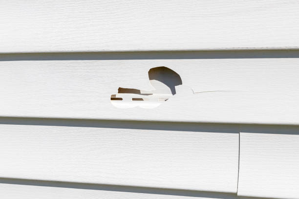 Best Stone Veneer Siding  in Susanville, CA