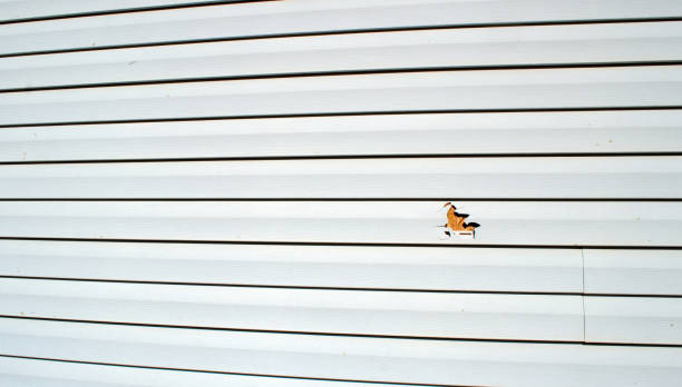 Siding for Multi-Family Homes in Susanville, CA