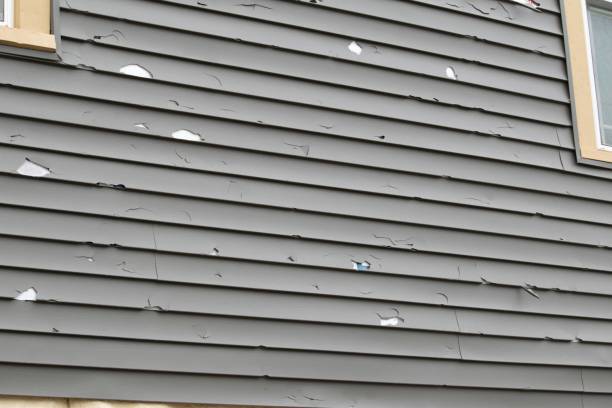 Best Custom Siding Design  in Susanville, CA
