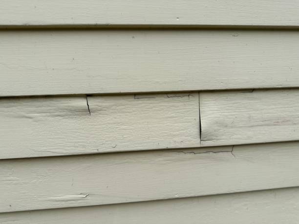 Best Composite Siding  in Susanville, CA